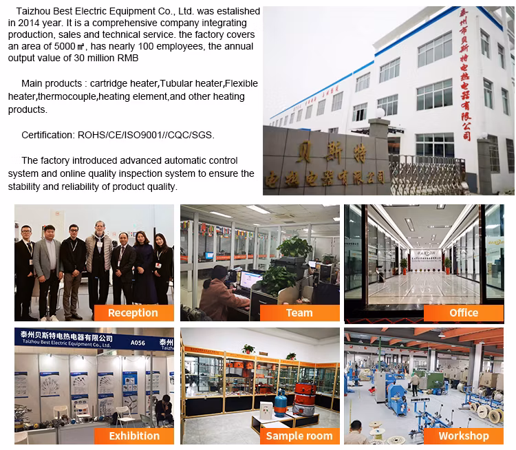 12V 24V 48V DC 40W 60W 80W Stainless Steel Industrial Electric Heater Elements 3D Printer Cartridge Heater