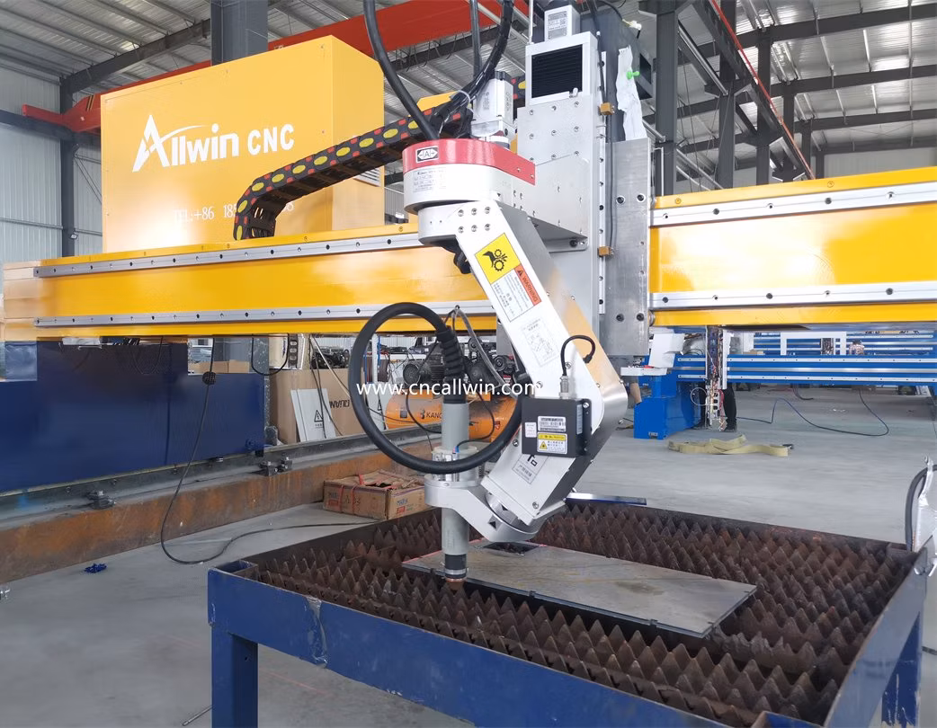 Industrial CNC Gantry Type Plasma and Gas Flame Cutting Machine for Iron Carbon Steel Ss Thick Metal Sheet Plate