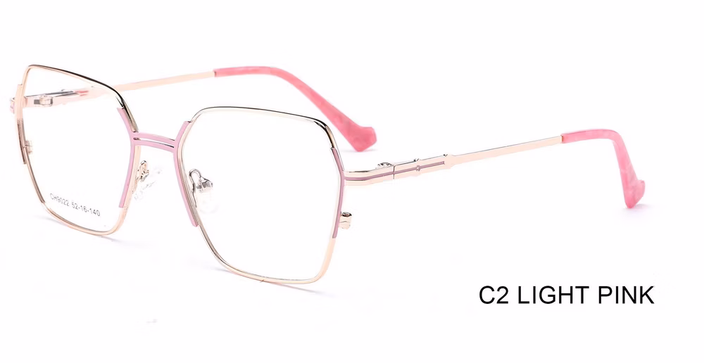 Design Metal with Exchangeable Hinges Eye Frames for Fashion Women Spectacle Optical Eyeglasses Frame Optical Frame