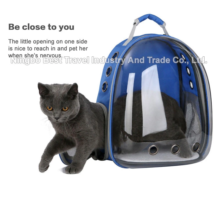 Travel Hiking Camping Small Cats Dog Backpack Carrier Carrier Ventilated Breathable Pet Backpack