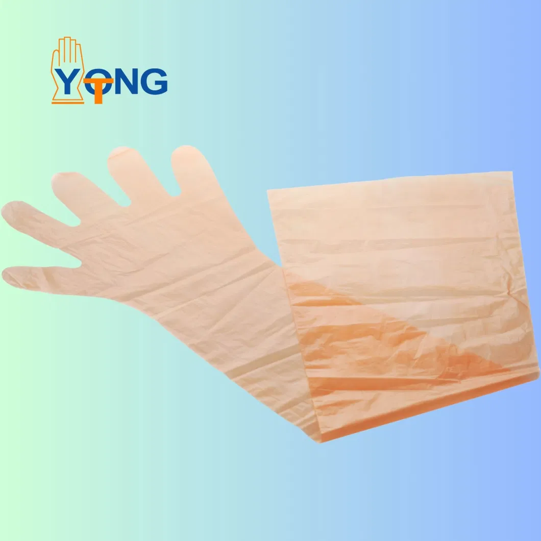 Restaurant TPE Gloves, Daily Use TPE Gloves, Food TPE Gloves