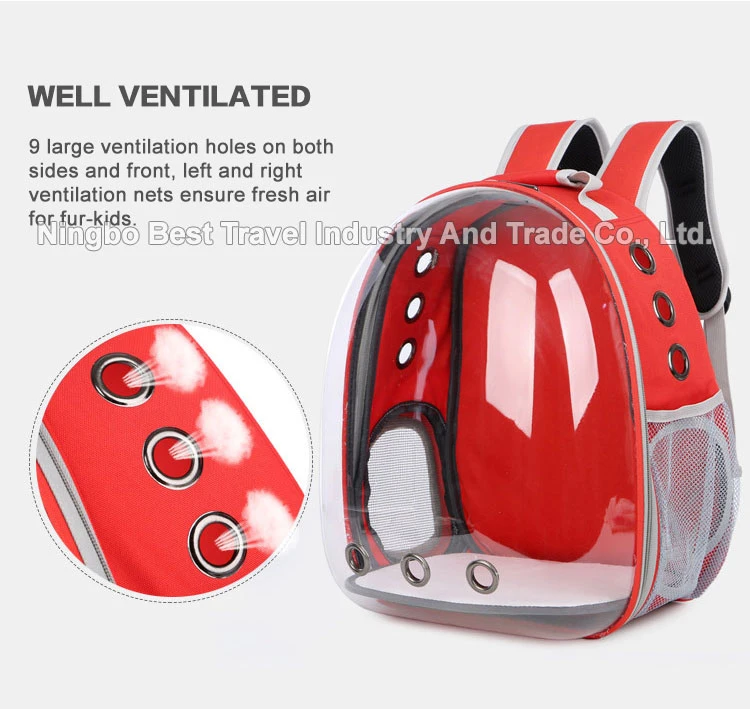 Travel Hiking Camping Small Cats Dog Backpack Carrier Carrier Ventilated Breathable Pet Backpack