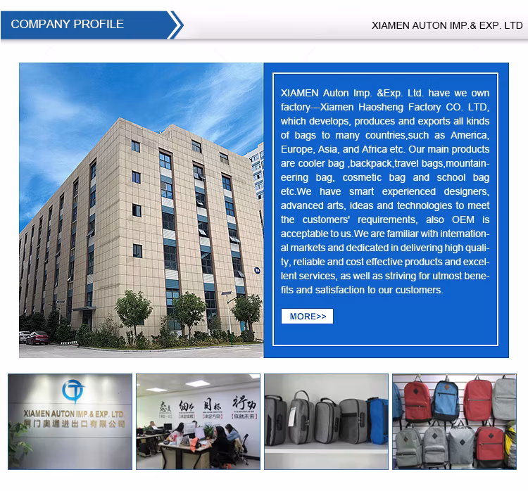 Lightweight Simple fashion School Backpack Polyester College School Backpack Travel Laptop Backpack Bags OEM ODM Custom