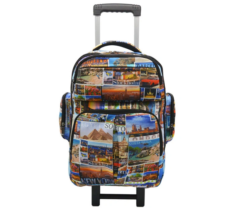 Children 30 Litre Cabin Luggage Easy Pull Trolley Backpack School Bag with Sublimation Printing