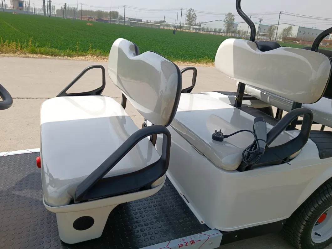 Factory Supply 6 Seats Cheaper Golf Cart/Seat Folds Back Electric Golf Car/Intelligent Utility Electric Vehicle