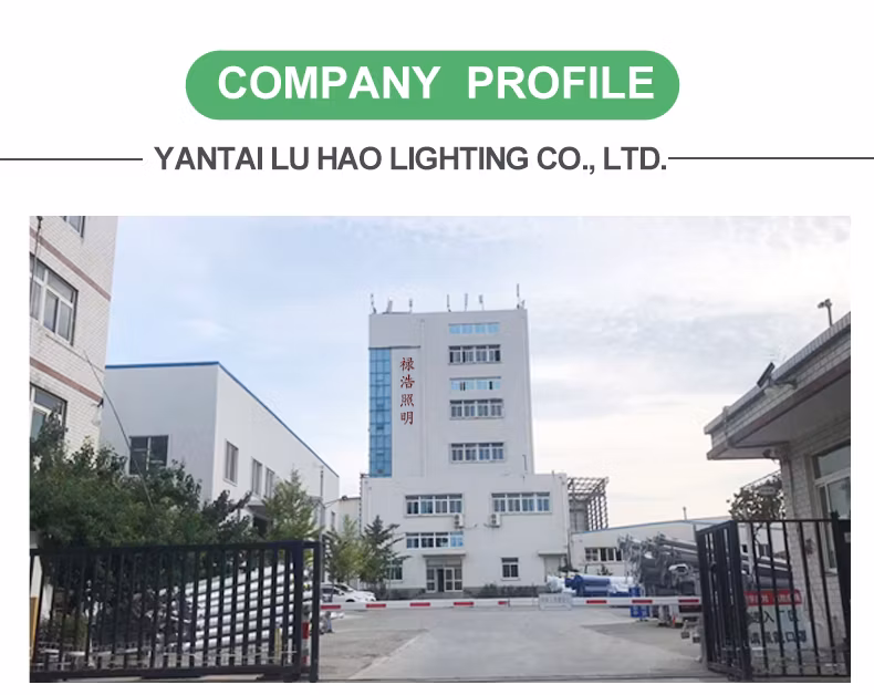 High Brightness Solar Bulb Light LED Emergency LED Aluminum Solar Street Light