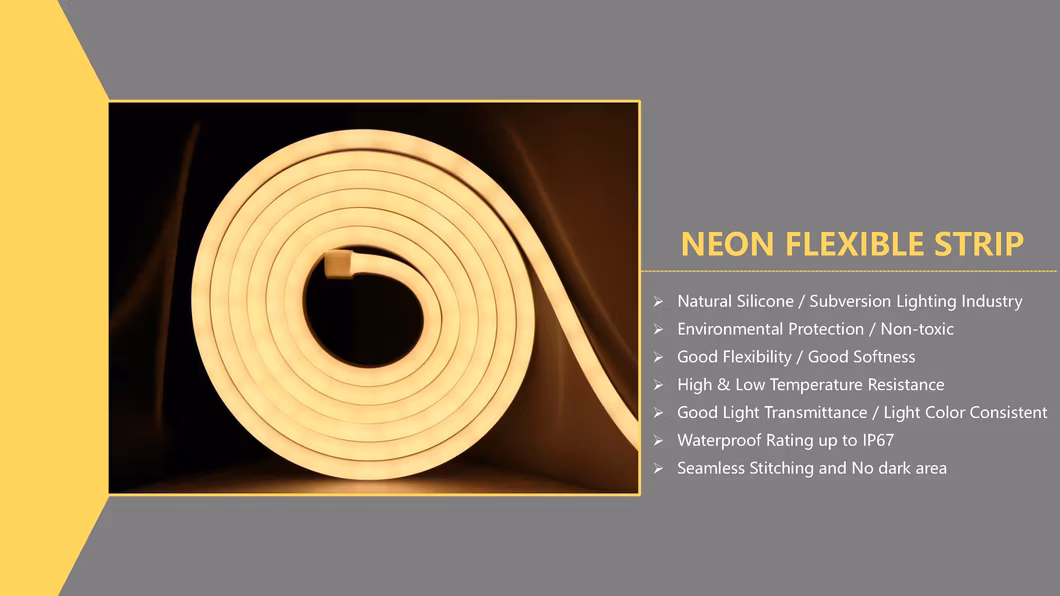Large Wholesale 12 Volt Waterproof Outdoor Advertising Lights Silicone Neon Lamp