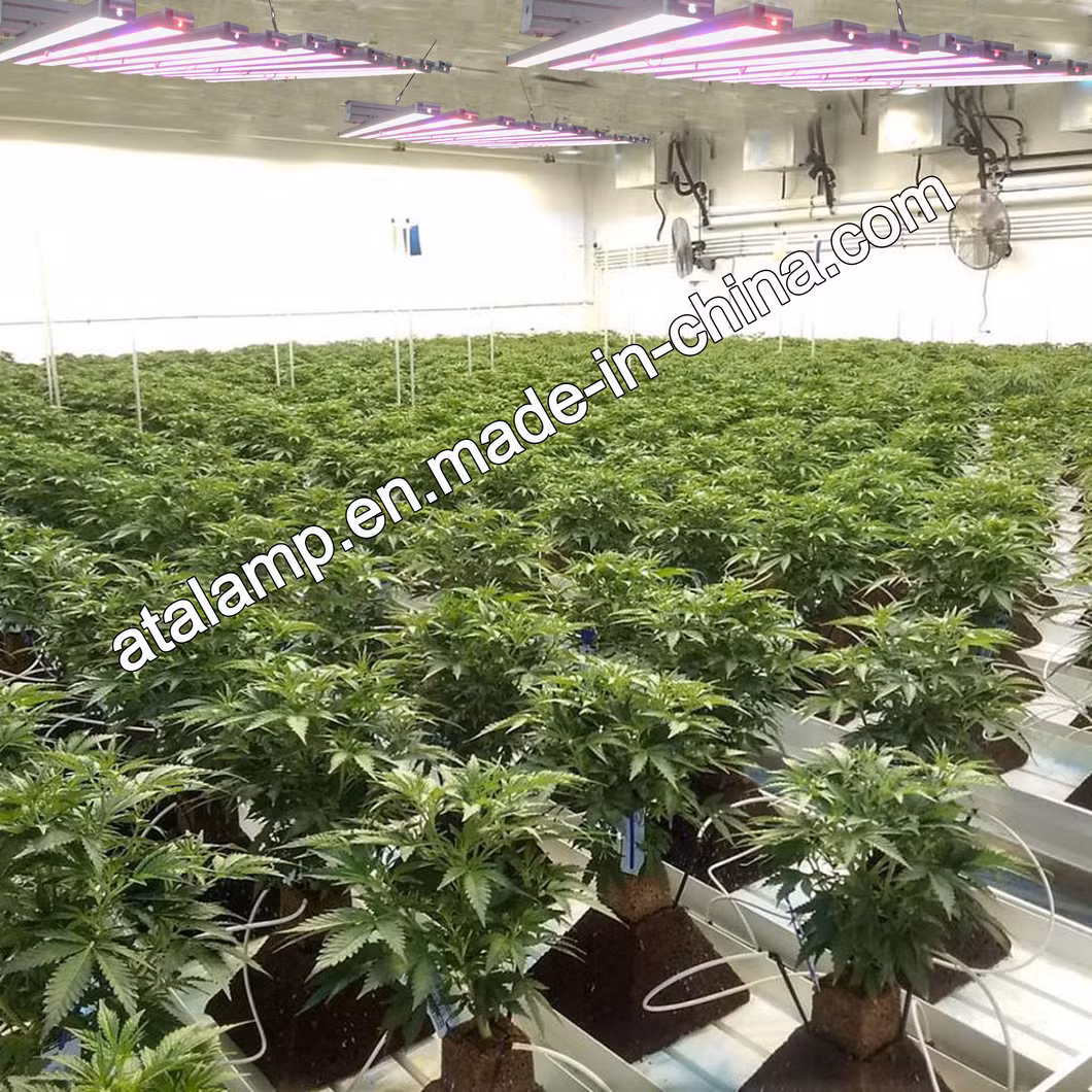 Full Spectrum Growing Hydroponic for Indoor Plants Lamp Bar Waterproof Growth Bulb Quantum Induction LED Grow Light