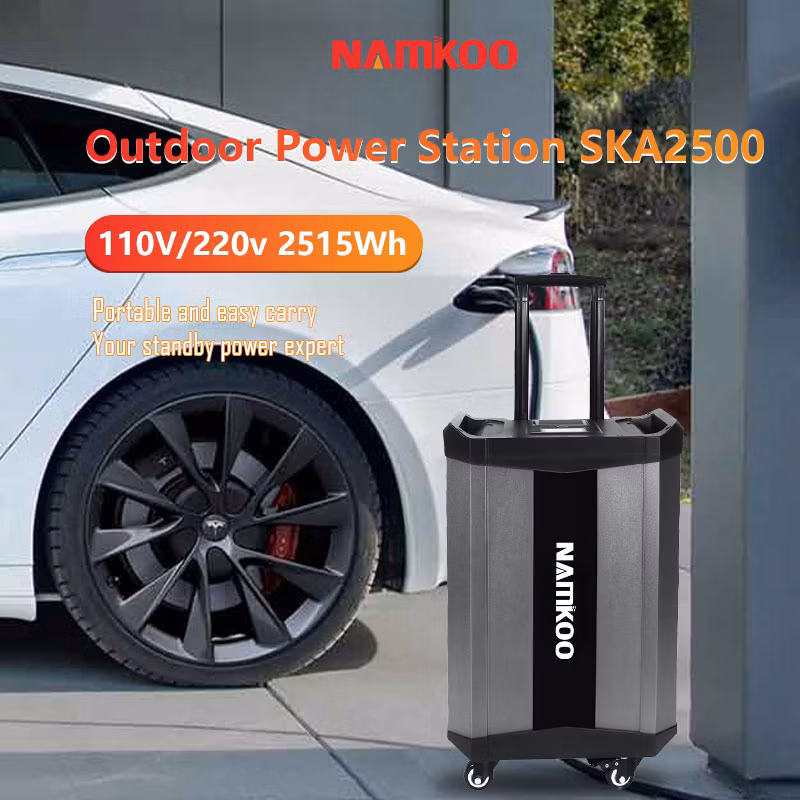 2000W Portable Energy Storage Emergency Power Supply 2515wh 220V 110V Portable Emergency Energy Storage Power