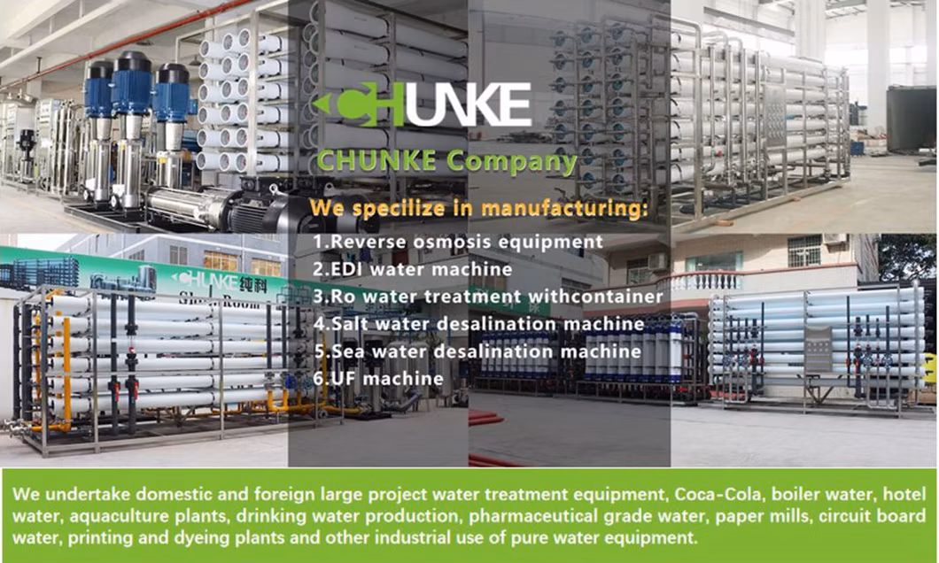 Purification Stainless Steel 1000L Reverse Osmosis Water Purifier Water Treatment System Water Two Stage RO Full SS304 EDI Deionized Plant 1t/H for Battery Use