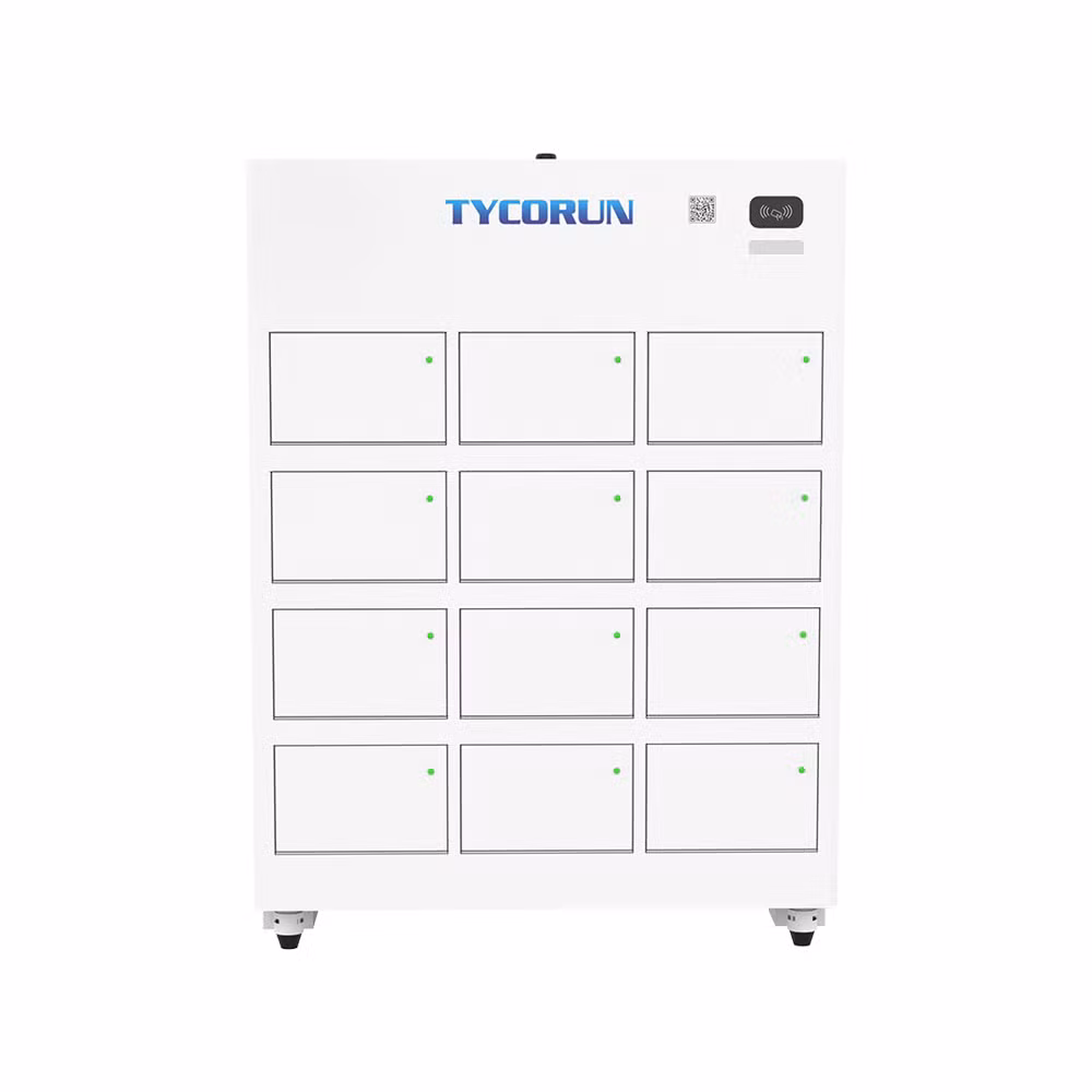 Tycorun Public Charging Cabinet Share Battery Swap Station Cabinet Power Bank for Electric Moped and Tricycle