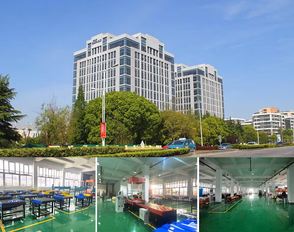 Factory Customized E-Commerce Warehouse Logistics Intelligent Sorting and Conveying System Dws Conveying and Sorting Solution