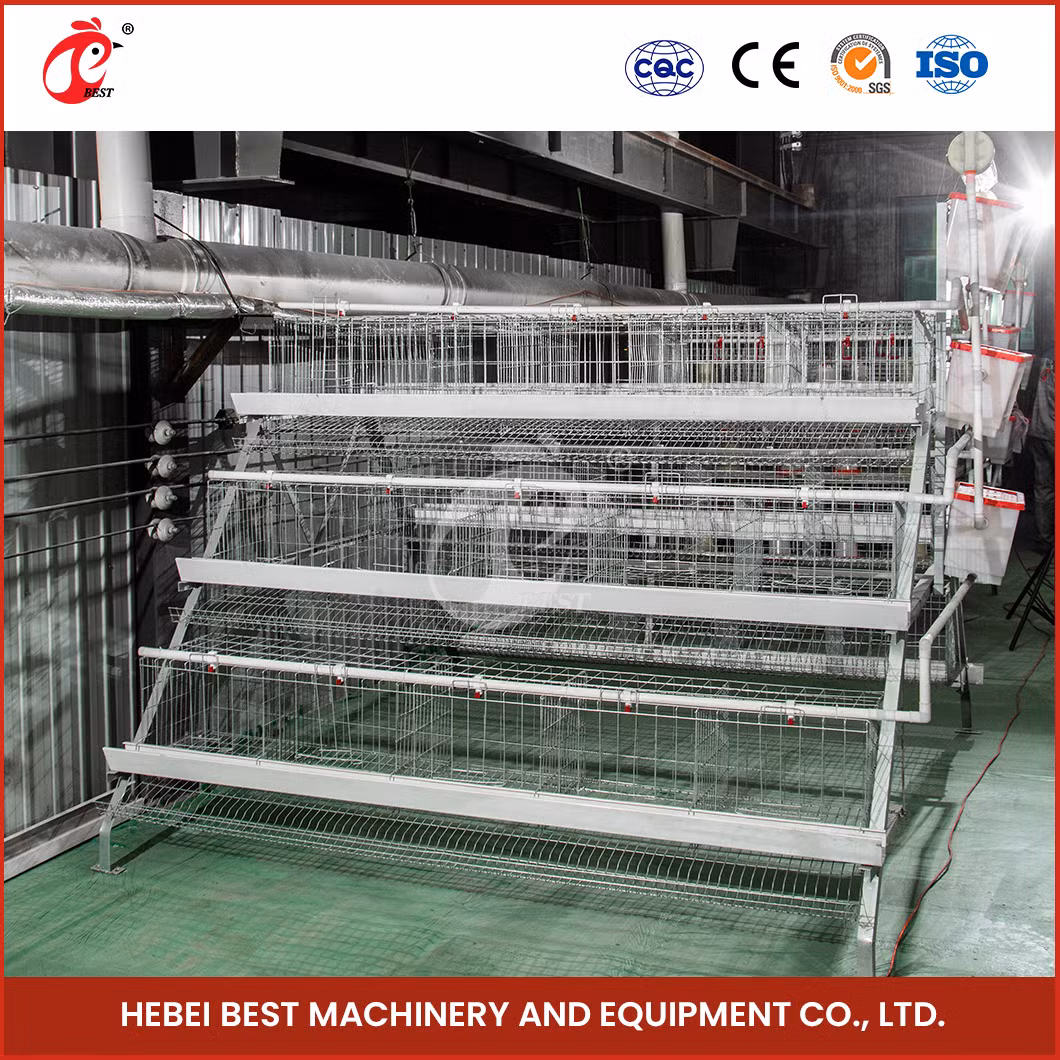 Bestchickencage Ordinary Type Layer Cage China Native Chicken Layer Cage Manufacturer ODM Custom Mature Galvanizing Process a Type Layer Cage