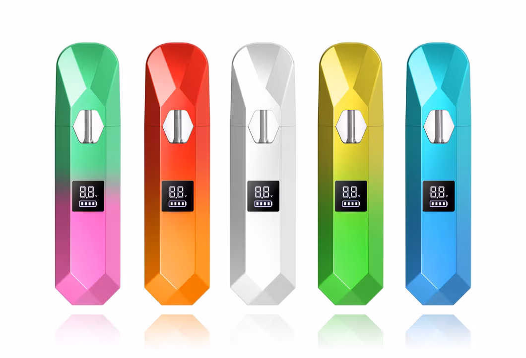 Best Disposable Vapes 2024 OEM 2ml Vape Pens Rechargeable 300mAh Type C Port Disposable Vaper Wax DAB Pens with Foam Package