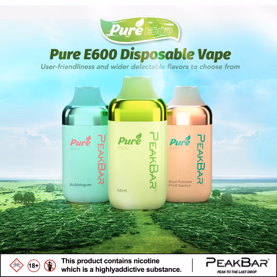 Rechargeable Disposable Vape Pen with 1.2Ω Resistance and 2ml E-Liquid