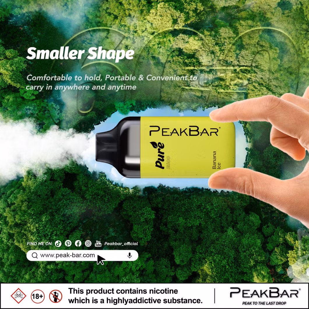 Rechargeable Disposable Vape Pen with 1.2Ω Resistance and 2ml E-Liquid