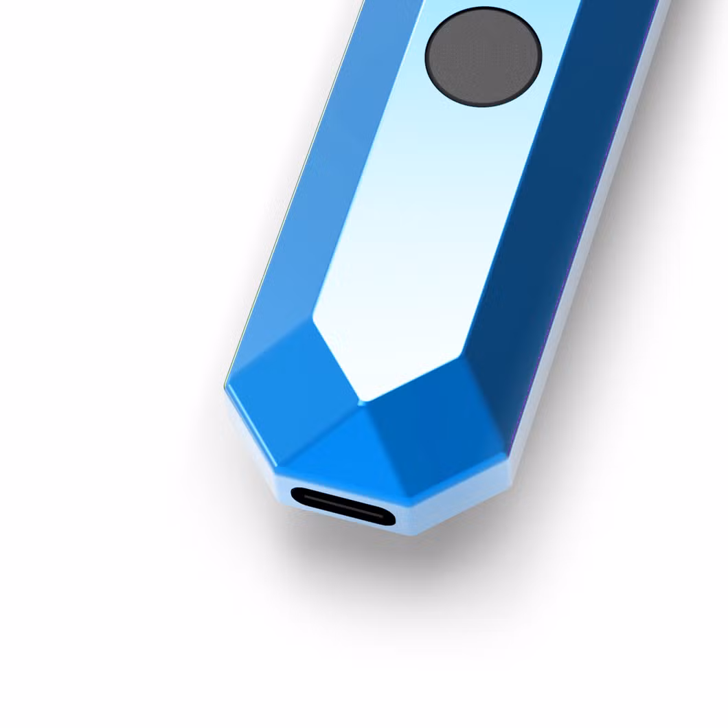 Best Disposable Vapes 2024 OEM 2ml Vape Pens Rechargeable 300mAh Type C Port Disposable Vaper Wax DAB Pens with Foam Package