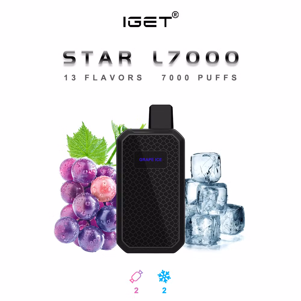 Good Price Disposable Vape Shipping 7000 Puffs Highest Quality Fast Delivery