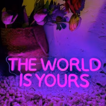 Fashionable LED Neon Sign Indoor Neon Light Decoration Customization CE Neon Light