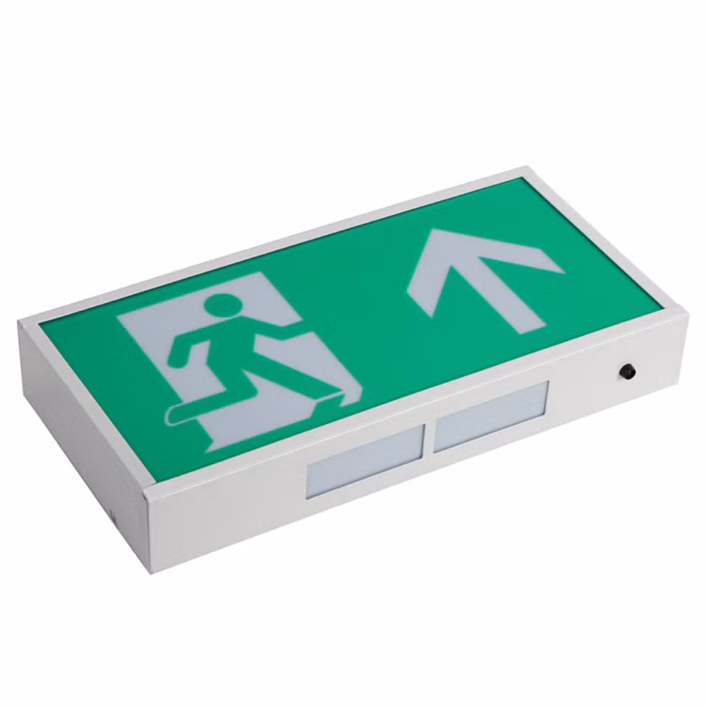 Luminous Emergency Exit with Symbol Sign in Metal Box