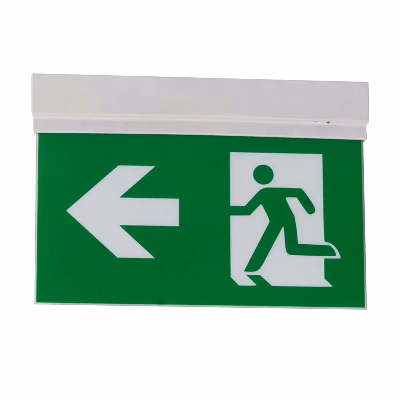 Luminous Emergency Exit with Symbol Sign in Metal Box