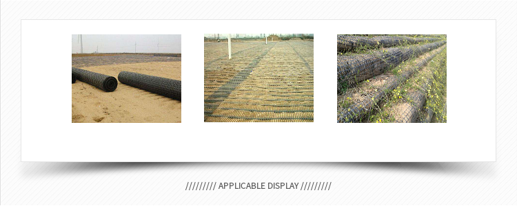 High Strength HDPE/PP Unidirectional Plastic Geogrid for Retaining Wall Volume of a Large Variety of Discounts