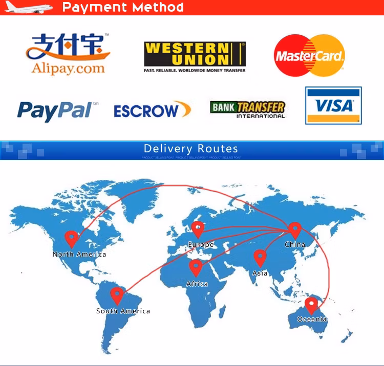 DDU DDP Door to Door Shipping Cheaper Price Chinese Logistic Company Safe Global Shipping/ Dropshipping Services Freight Forwarder to Brazil/Bolivia