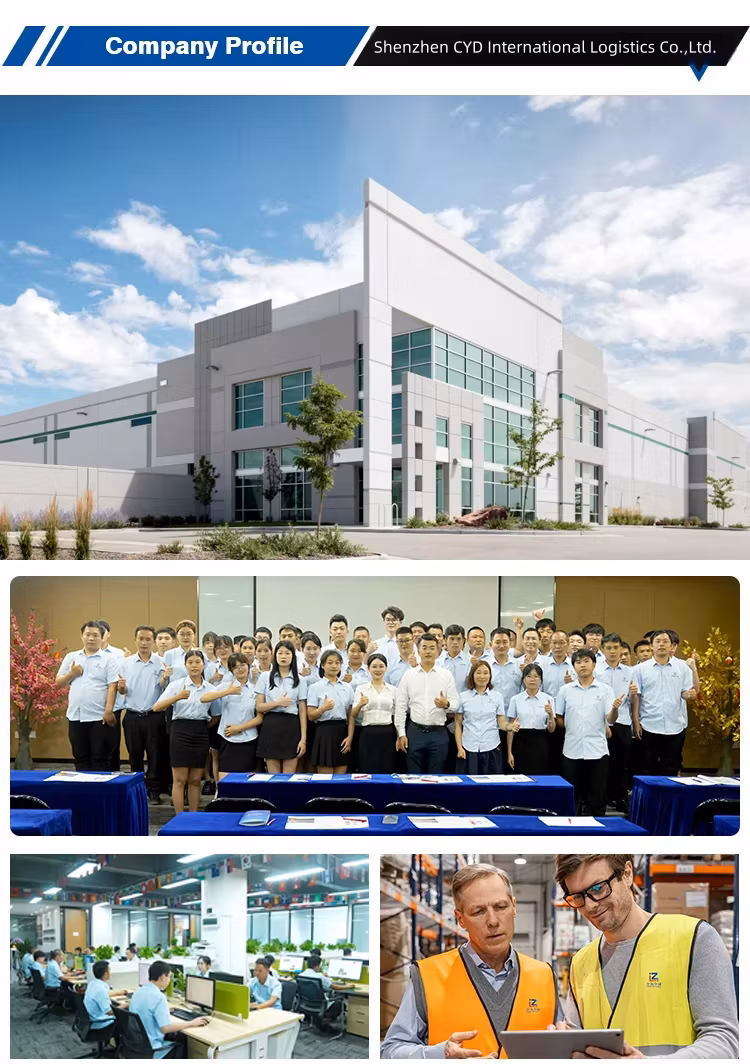 DDU DDP Door to Door Shipping Cheaper Price Chinese Logistic Company Safe Global Shipping/ Dropshipping Services Freight Forwarder to Brazil/Bolivia