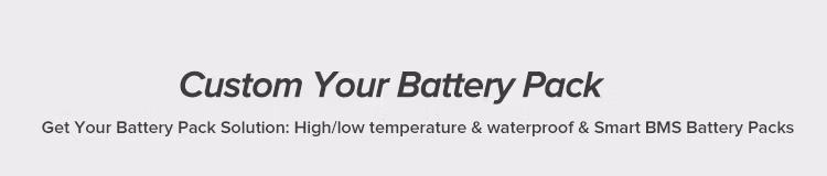 18 Years Factory ODM&OEM Lithium Ion Battery 18650 74V 4400mAh 24V Lipo Box 280ah Icr 37V 52V 28ah 36V 7ah 50V LiFePO4 12V 100ah BMS 5ah Charger Module