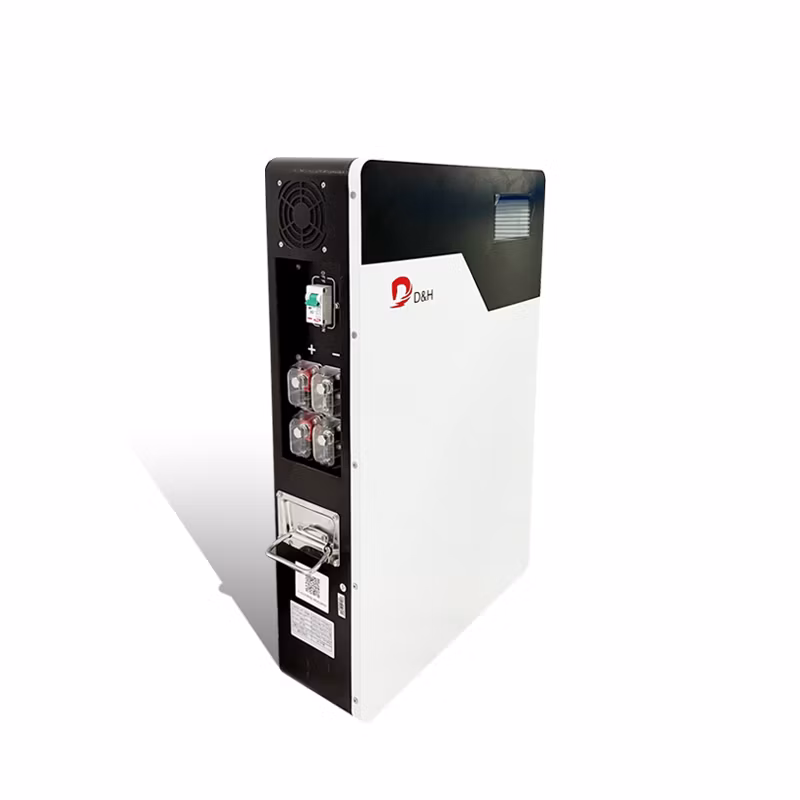 Dh Wall Mounted Energy 5kwh 10kwh 15kwh LiFePO4 Lithium Ion Battery 51.2V 100ah 200ah Energy Storage System Battery Rechargeable Lithium Battery