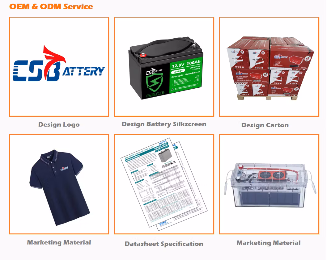 Csbattery 24V 25.6V 50ah Lithium Battery Rank Solar Module for Cleaning-Machine/Forklift/Lithium LiFePO4 Battery/Amy