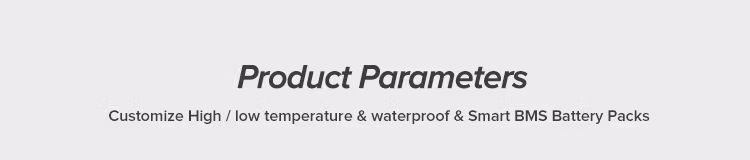 18 Years Factory ODM&OEM Lithium Ion Battery 18650 74V 4400mAh 24V Lipo Box 280ah Icr 37V 52V 28ah 36V 7ah 50V LiFePO4 12V 100ah BMS 5ah Charger Module