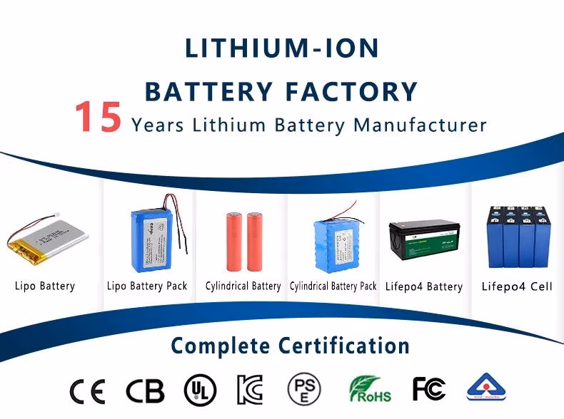 OEM ODM 3.7V Prismatic Battery Cell Lipo Battery for Consumer Electronics