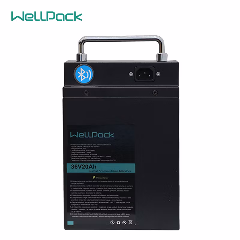 LiFePO4 Motorcycle/Bicycle/E-Bike/Forklift/Marine Battery Lithium Battery Pack Replacing Lead Acid with Lithium Ion Battery Manufacturing Suppliers