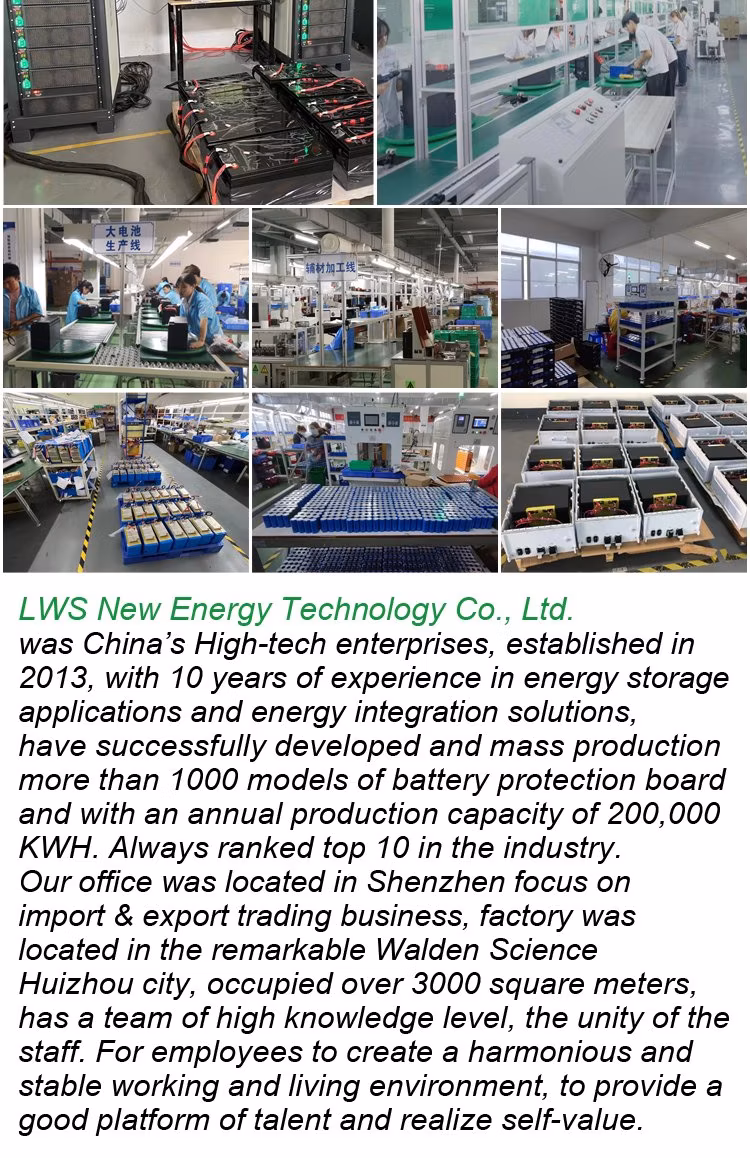Lws 12V 24V 36V 48V 10ah 20ah 50ah 60ah Lithium 18650 Battery Pack for Solar Power System/LED Panel Light