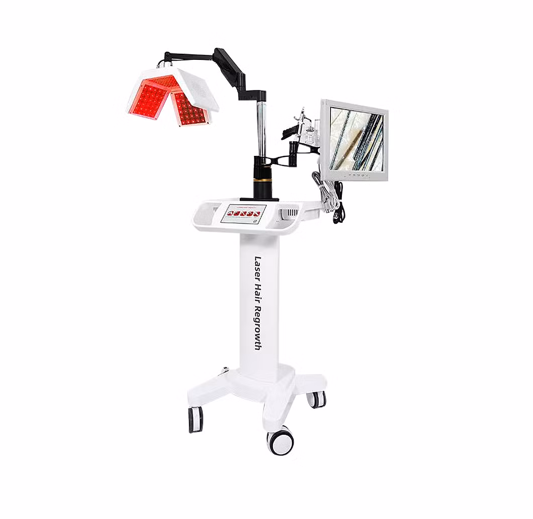 Stimulation of Epidermal Stem Cells The Hair Follicle Laser Hair Growth Massager