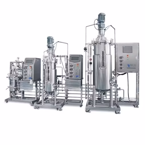 Fermentation Bioreactor in Stainless Steel Fluidized Bed Table Fermenter Biotechnology