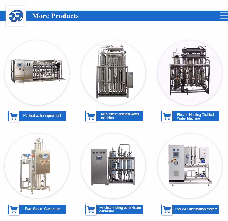 Reverse Osmosis Water Treatment Equipment Stainless Steel Purified Water Equipment Medical Pharmaceutical