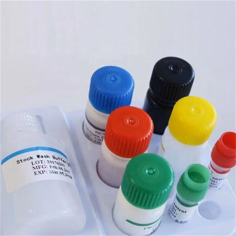 Iptg Isopropyl-&Beta D-Thiogalatopyranoside Reagents