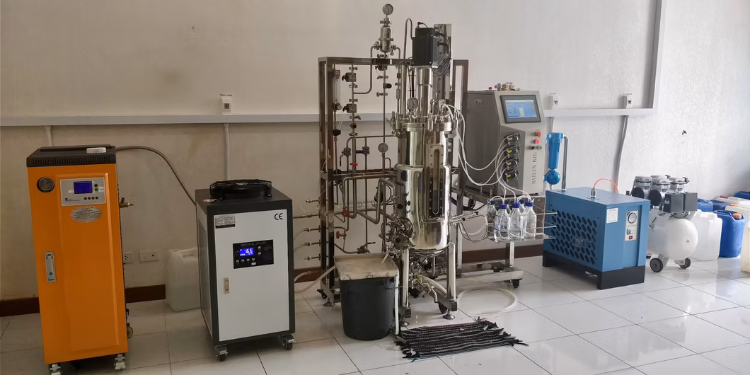 Fermentation Bioreactor in Stainless Steel Fluidized Bed Table Fermenter Biotechnology