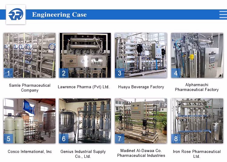 Reverse Osmosis Water Treatment Equipment Stainless Steel Purified Water Equipment Medical Pharmaceutical