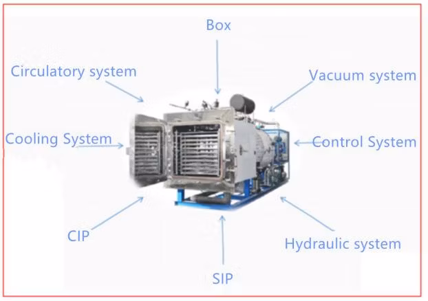 Stainless Steel Fermentation Tank, Plant Cell Culture Tank Yeast Production Line