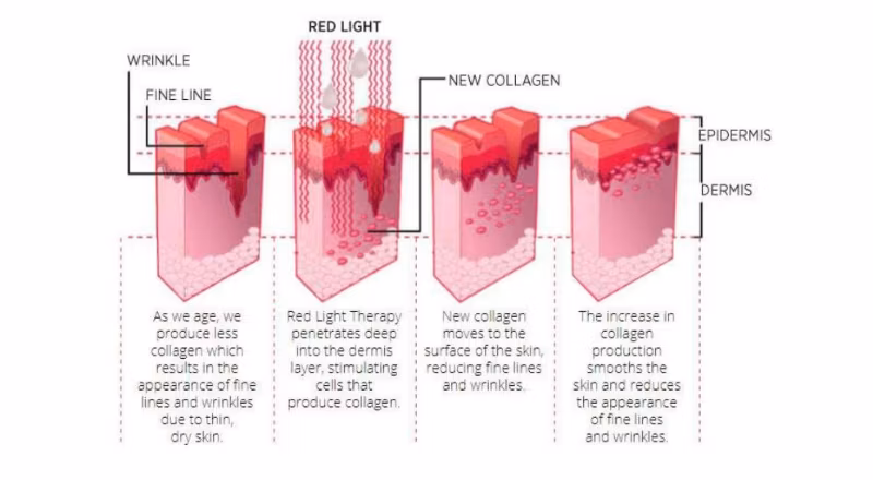 Best Sale Phototherapy PDT Facial Beauty Device Skin Rejuvenation PDT LED Light Therapy Machine 7 Color