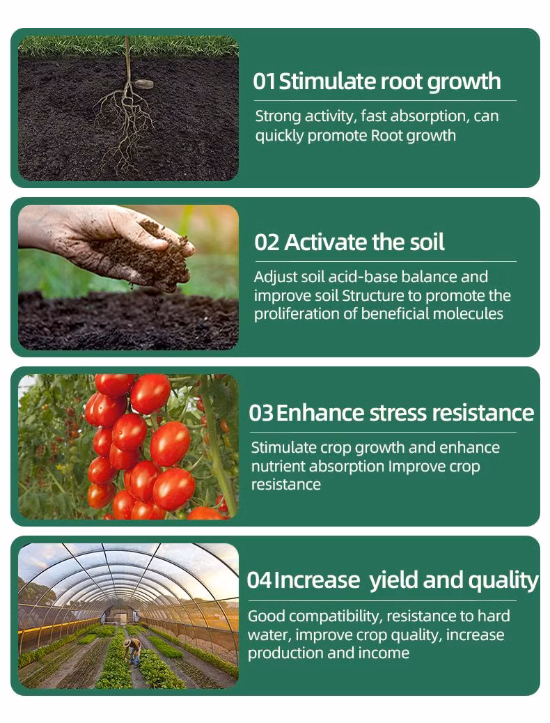 Bulk Formulation Fertilizer Agriculture Use Liquid Seaweed Extract
