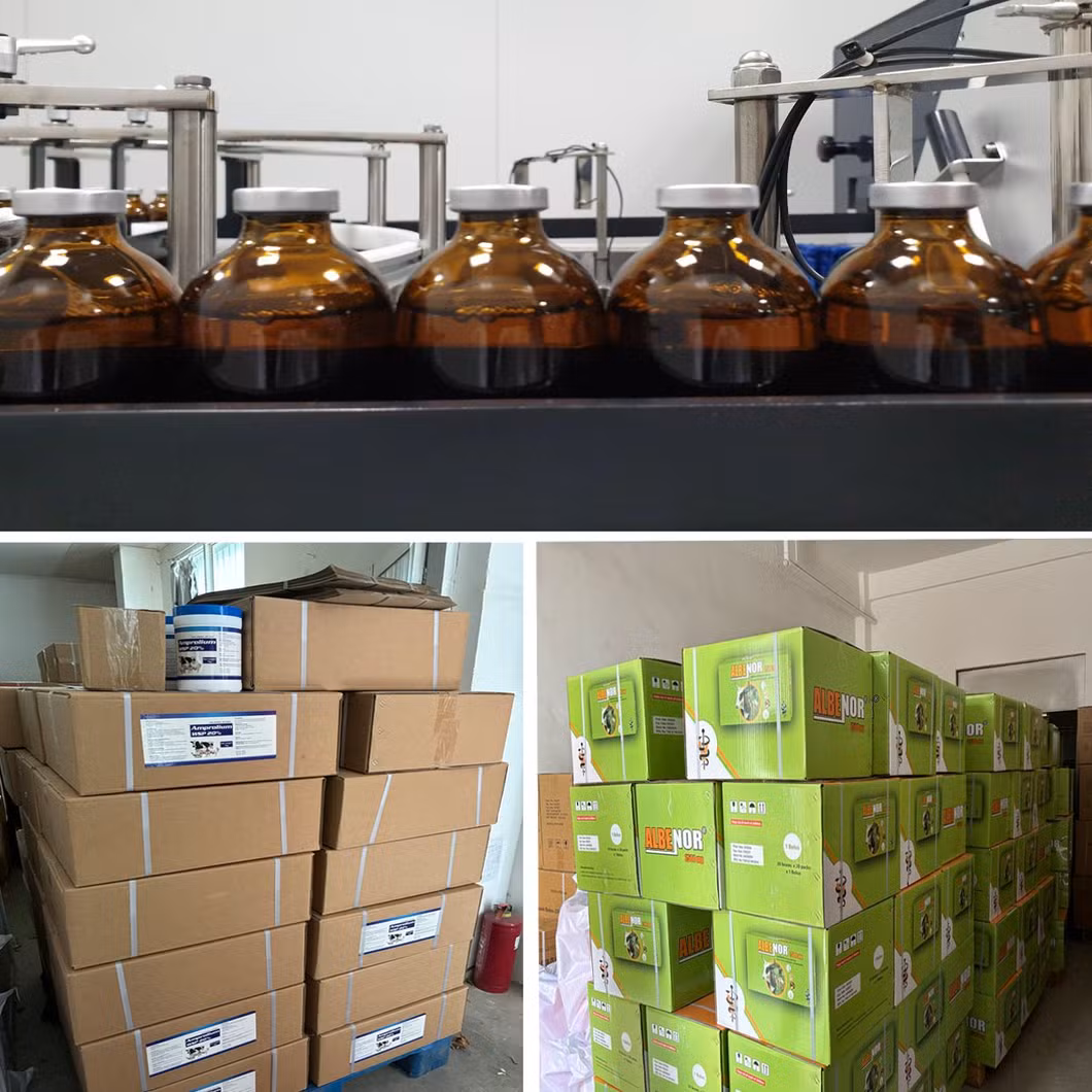 Veterinary Medicine Tilmicosin Injection 30% Content Respiratory Diseases Cough, Asthma, Pneumonia
