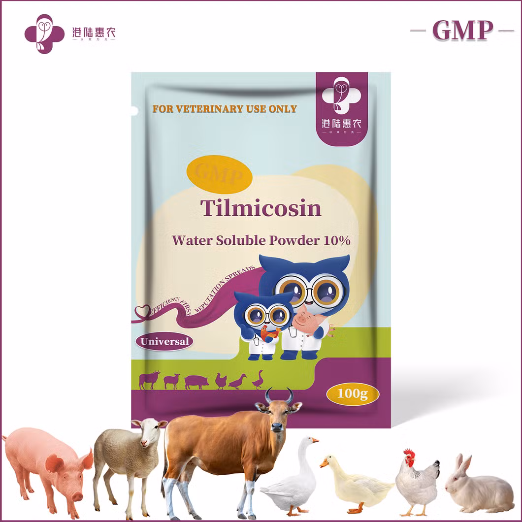 GMP Certification Veterinary Health Product Antibacterial Drug Tilmicosin Water Soluble Powder 10% 20% 30% Chicken Antibiotics