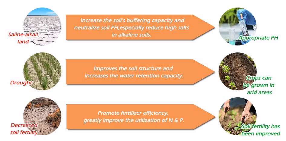 Bulk Formulation Fertilizer Agriculture Use Liquid Seaweed Extract