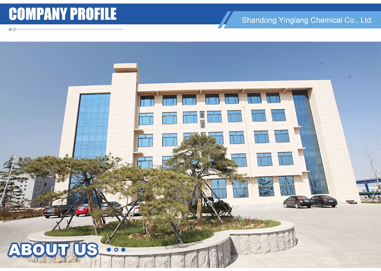 Low Volatility UV Absorbercompliant with Regulatory Standardstinuvin 1130 CAS No. 104810-48-2
