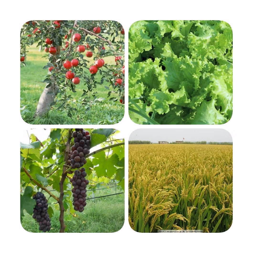 Mineral Source High Quality Rough Granule 0-1mm Humic Acid Sodium Humate