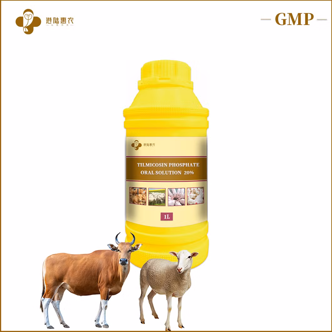 Shanghai Ganglu Huinong Biotechnology Veterinary Medicine Pharmaceutical Chemical Tilmicosin Phosphate Oral Solution 10% 20% 25% for Chicken Poultry